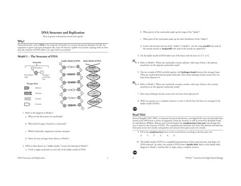 Dna Replication Pearson Answer Key Doc