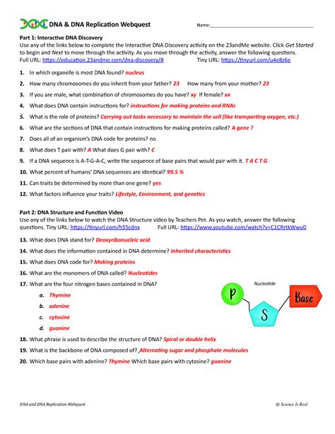 Dna Replication Webquest Answer Key Epub