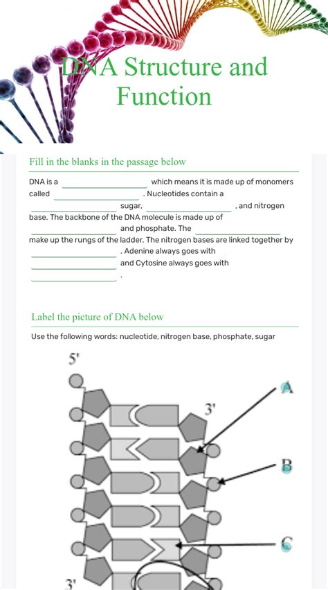 Dna Structure Worksheet With Answers Kindle Editon