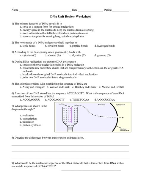 Dna Unit Review Worksheet Answers PDF