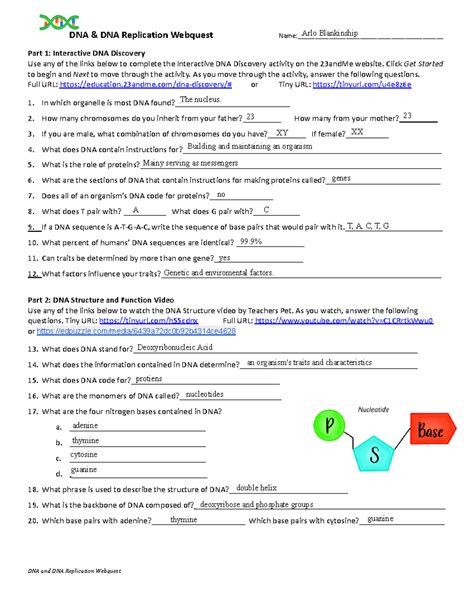 Dna Webquest Answers Kindle Editon