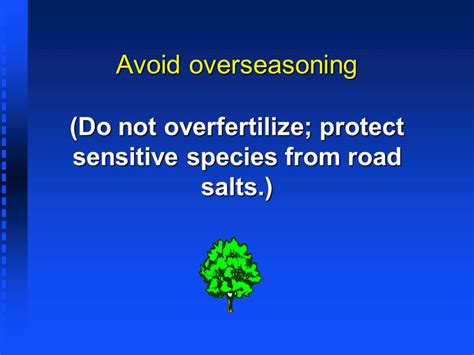 Do not overfertilize.