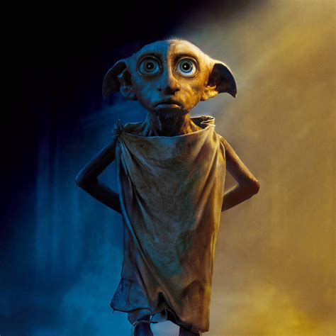 Dobby the House Elf Reader