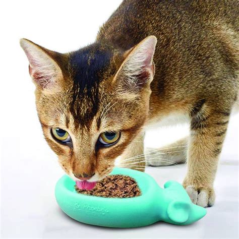 Doc and Phoebe Cat Feeder: Your Feline's Automated Dining Companion