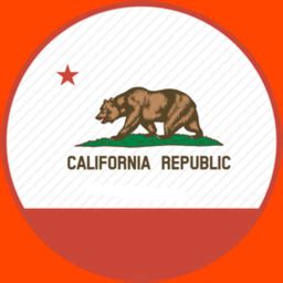 Does Vsp Go By Calendar Year