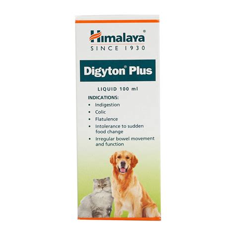 Does Your Pet Have Tummy Troubles? Digyton Syrup Can Be the Solution!