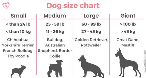 Dog's size: