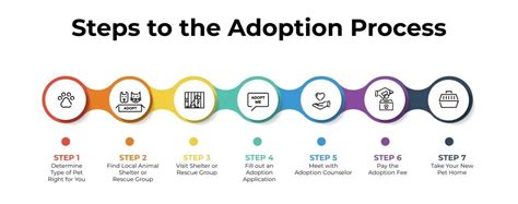 Dog Adoption Process vs. Procedures: A 2025 Guide