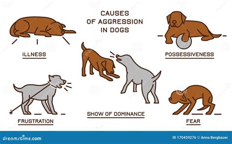 Dog Aggression vs. Dominance: Unravelling the Truth in 2025