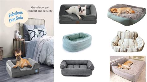 Dog Bed Customization and Embroidery: Elevate Your Pet's Comfort by 2025