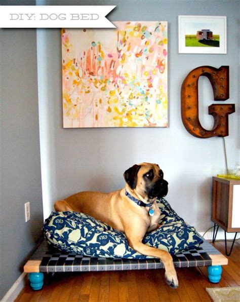 Dog Bed DIY Inspiration and Ideas 2025: 10 Creative Solutions