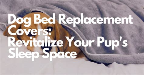 Dog Bed Rotation and Replacement 2025: Ultimate Guide to Keep Your Pup's Comfort Supreme