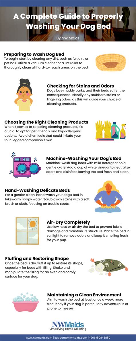 Dog Bed Washing and Drying: 2025's Ultimate Guide