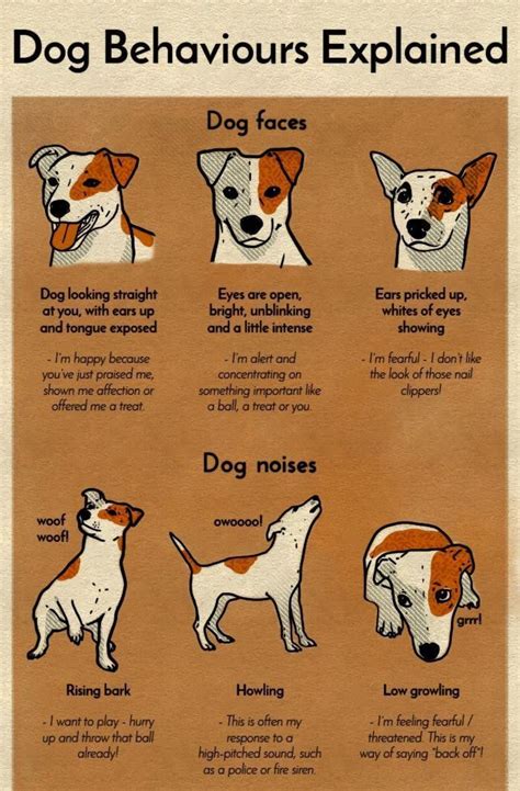 Dog Behavior Chart
