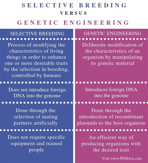 Dog Breeding 2025: Selective Breeding VS Genetic Engineering