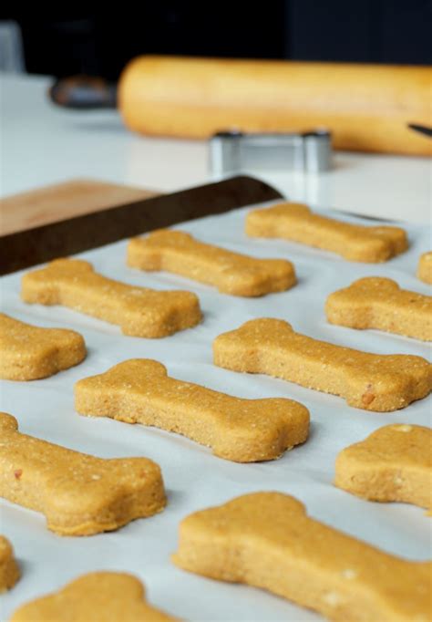 Dog Candy: A Sweet Treat for Your Pup