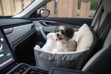 Dog Car Beds 2025: Style VS. Function