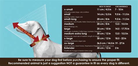 Dog Cone Size Chart