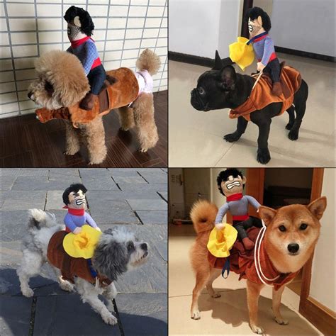 Dog Costume Cowboy Riding: A Roundup of the Best Outfits for Your Pup