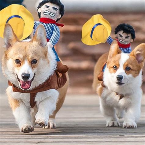 Dog Costume Cowboy Riding: Lasso Your Way to Adventure