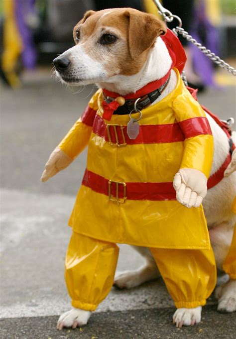 Dog Costume for Adult: Unleash the Canine Spirit Within