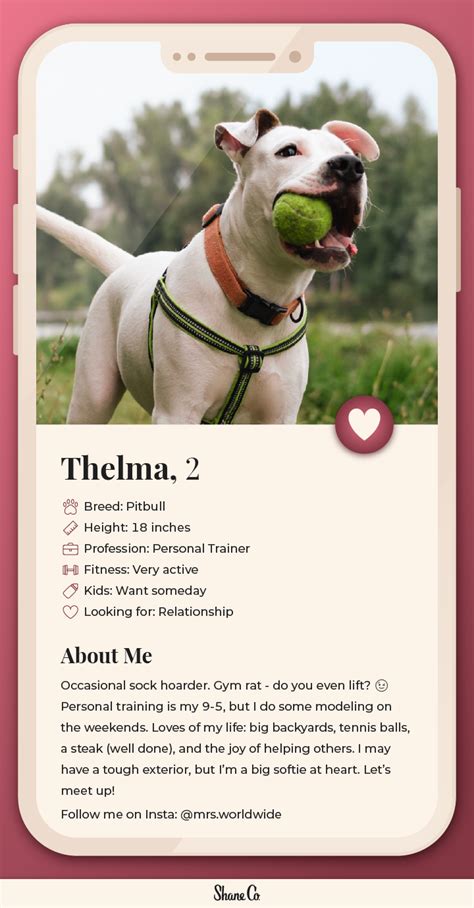 Dog Dating Profile Template
