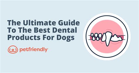 Dog Dental Powder for Allergies: The Ultimate 2025 Guide