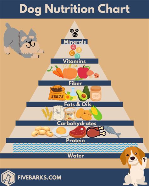 Dog Food Calorie Chart