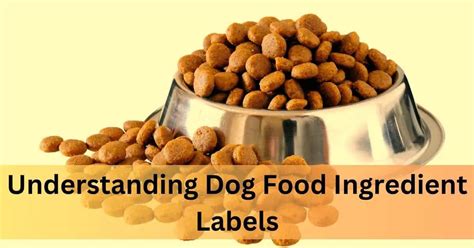 Dog Food Ingredients VS Labeling: The Ultimate Guide to 2025