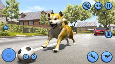 Dog Games The Ultimate Guide of Fun Games to Play with Your Dog All New Games for Dogs for 2011 Epub