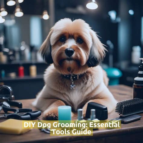 Dog Grooming: Essential Tips and Expert Advice vs. DIY for 2025