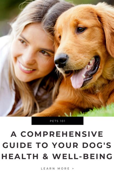 Dog Health and Aging: A Comprehensive Guide for 2025