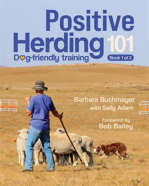 Dog Herding Behavior 101: Understanding the Master-Dog Duo