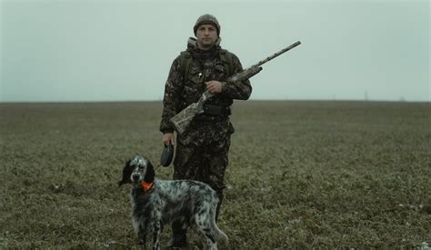 Dog Hunting and Retrieving Training: The Ultimate 2025 Guide