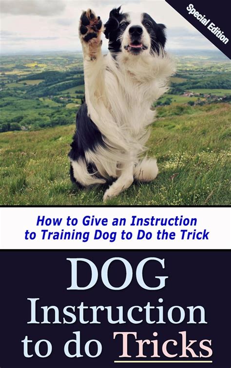 Dog Instruction to Do Tricks How to Give an Instruction to Training Dog to Do Tricks Reader