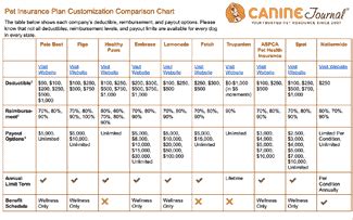 Dog Insurance Comparison Chart