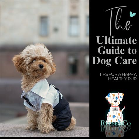 Dog Mental Health and Wellness: The Ultimate Guide to a Happy and Healthy Pup in 2025