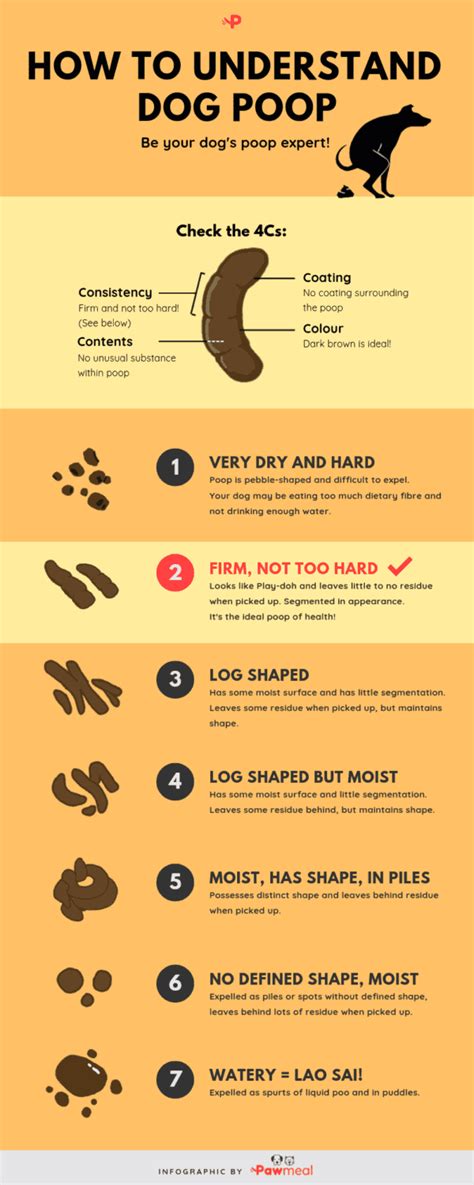 Dog Poop Chart