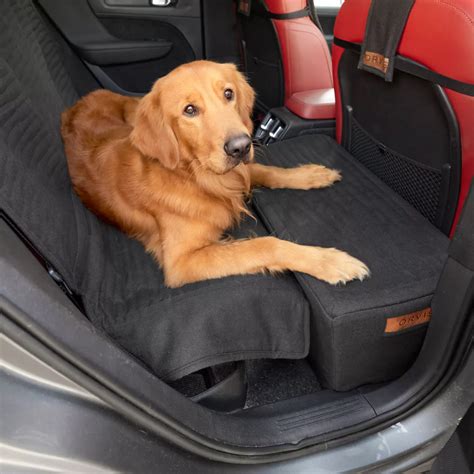 Dog Seat Extender Durability and Lifespan: 2025 VS. Now