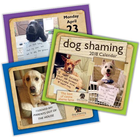 Dog Shaming 2018 Wall Calendar Doc