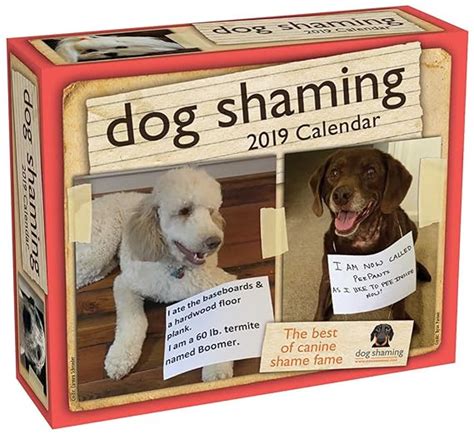 Dog Shaming 2019 Day-to-Day Calendar Kindle Editon