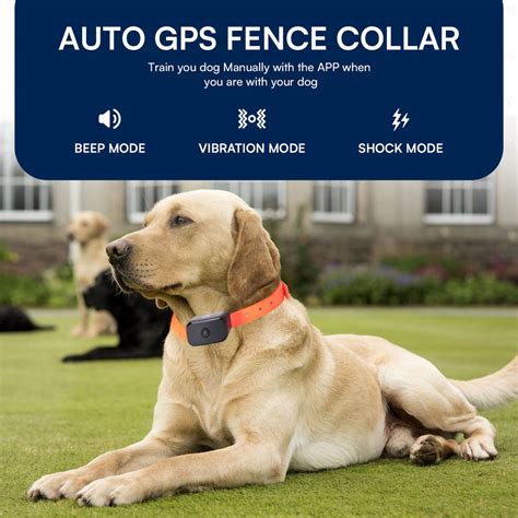 Dog Shock Collar Fence: A Comprehensive Guide for Dog Owners