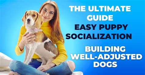 Dog Socialization vs Bedding: The Ultimate 2025 Guide