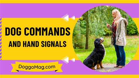 Dog That Called the Signals