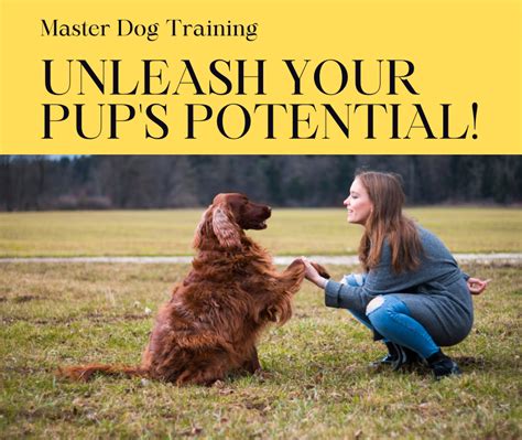 Dog Training: Unleash Your Pup's Potential with Claire Lambert's Expert Guidance