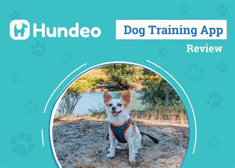 Dog Training App Innovation 2025: AI vs. Tradition