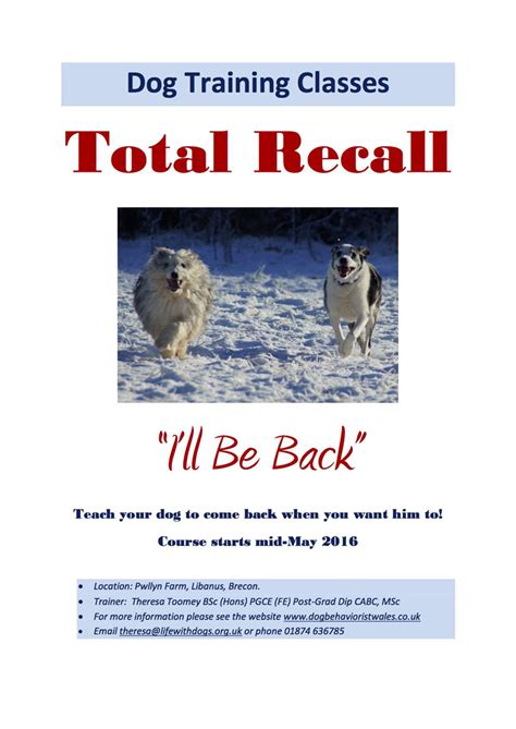Dog Training Recall Classes Doc