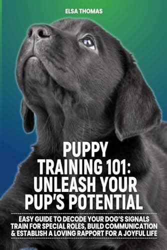 Dog Training Revolutionized: Unleash Your Pup's Potential with missy-ts