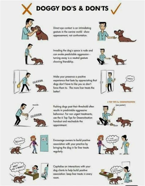 Dog Training Tips And Tricks Kindle Editon