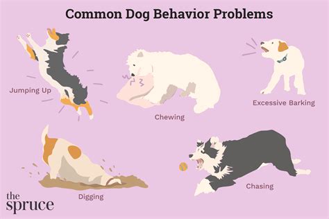 Dog Training Tips For Bad Behavior Reader